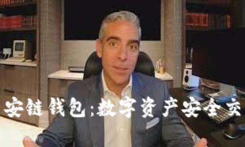 tpwallet币安链钱包：数字资产安全交易的新选择